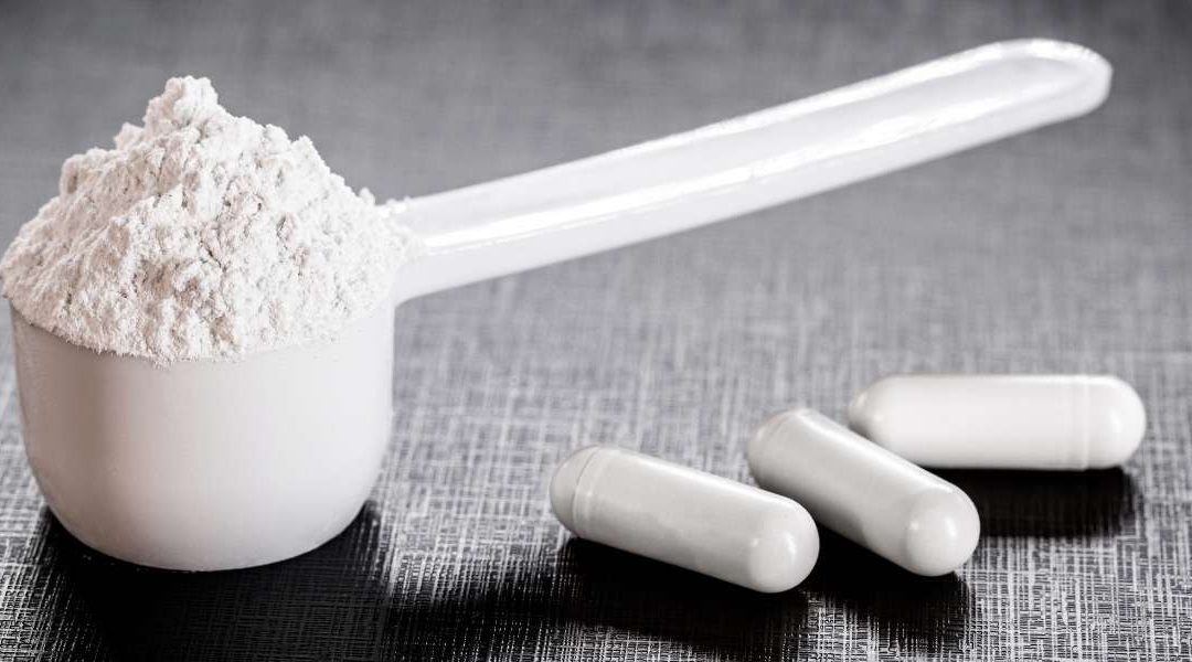 Créatine monohydrate : peut-on en prendre tous les jours ?
